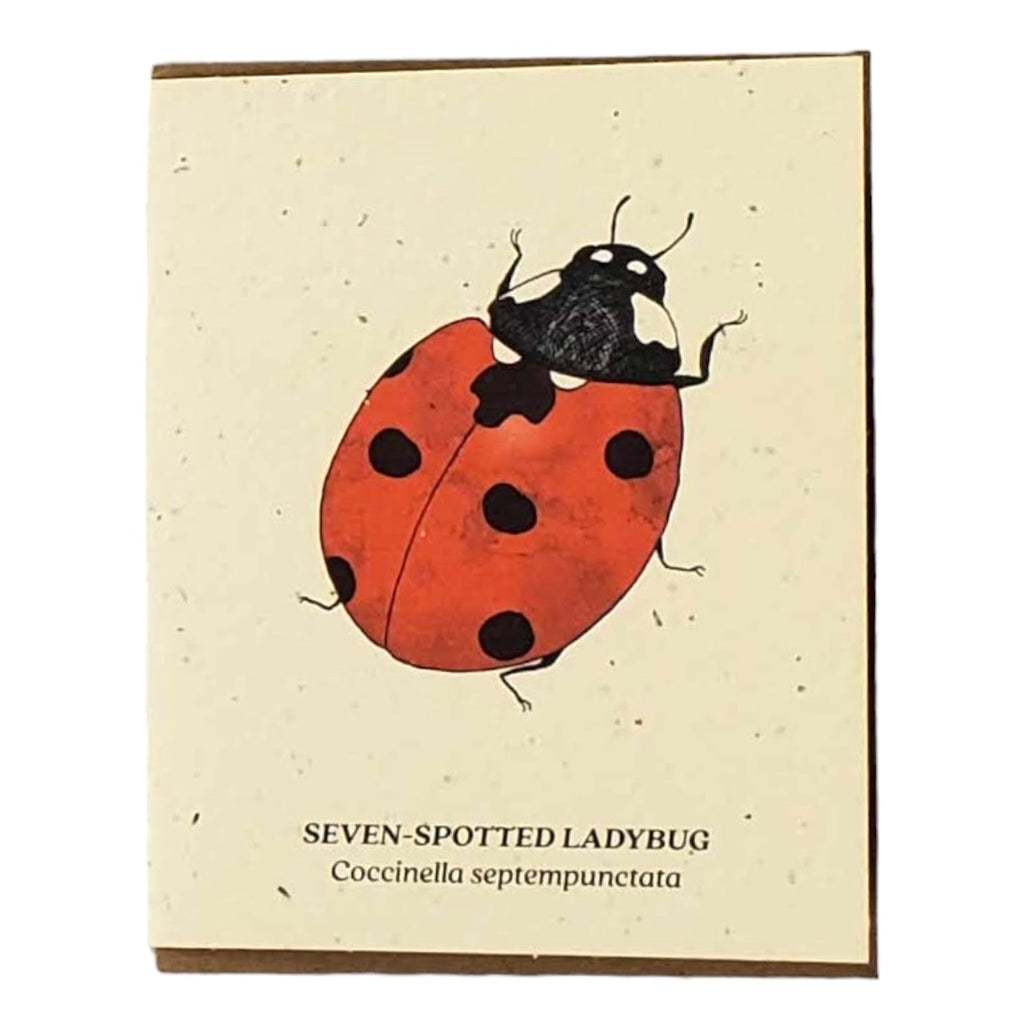 Small Victories Plantable Card - Seven-Spotted Ladybug