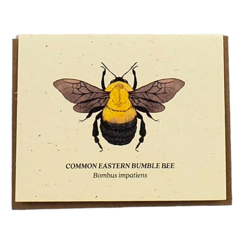 Small Victories Plantable Card - Common Eastern Bumble Bee