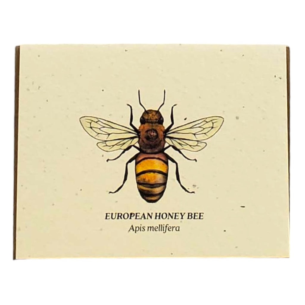 Small Victories Plantable Card - European Honey Bee