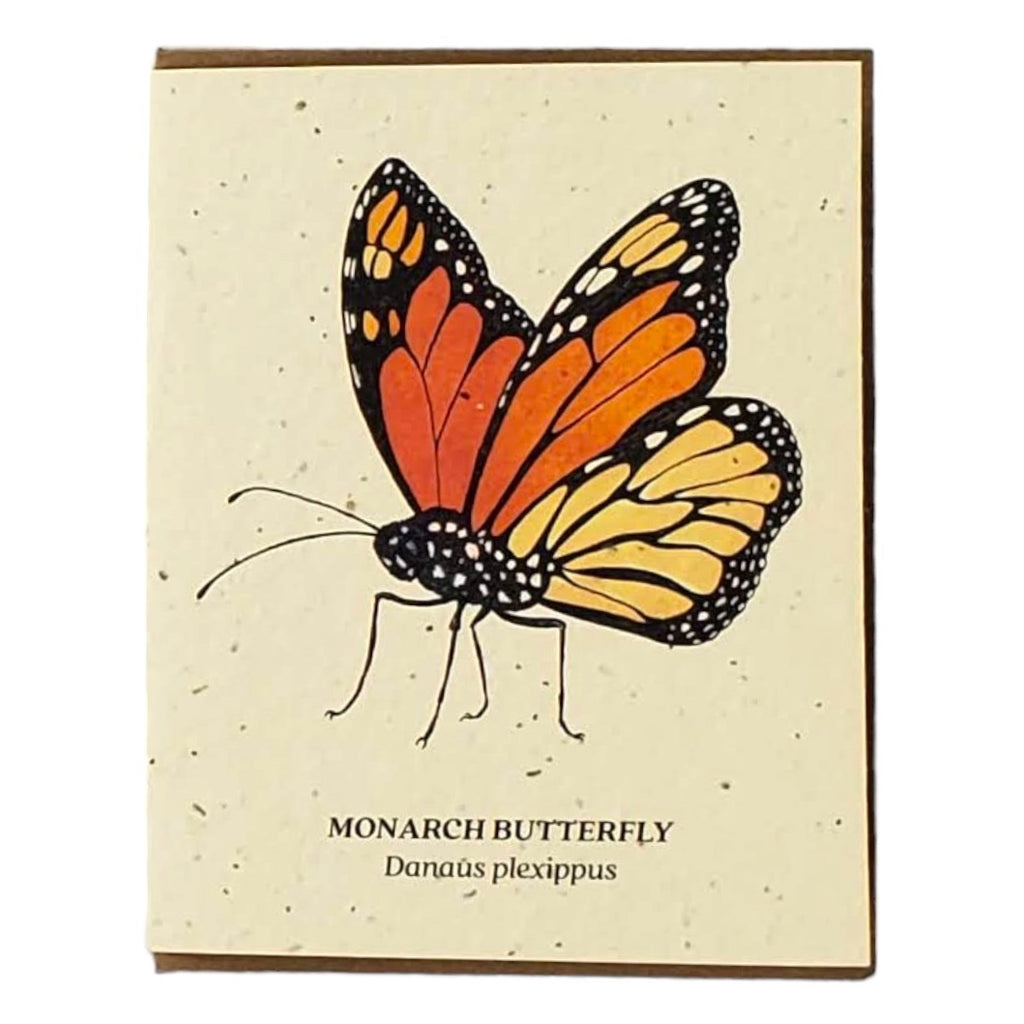 Small Victories Plantable Card - Monarch Butterfly