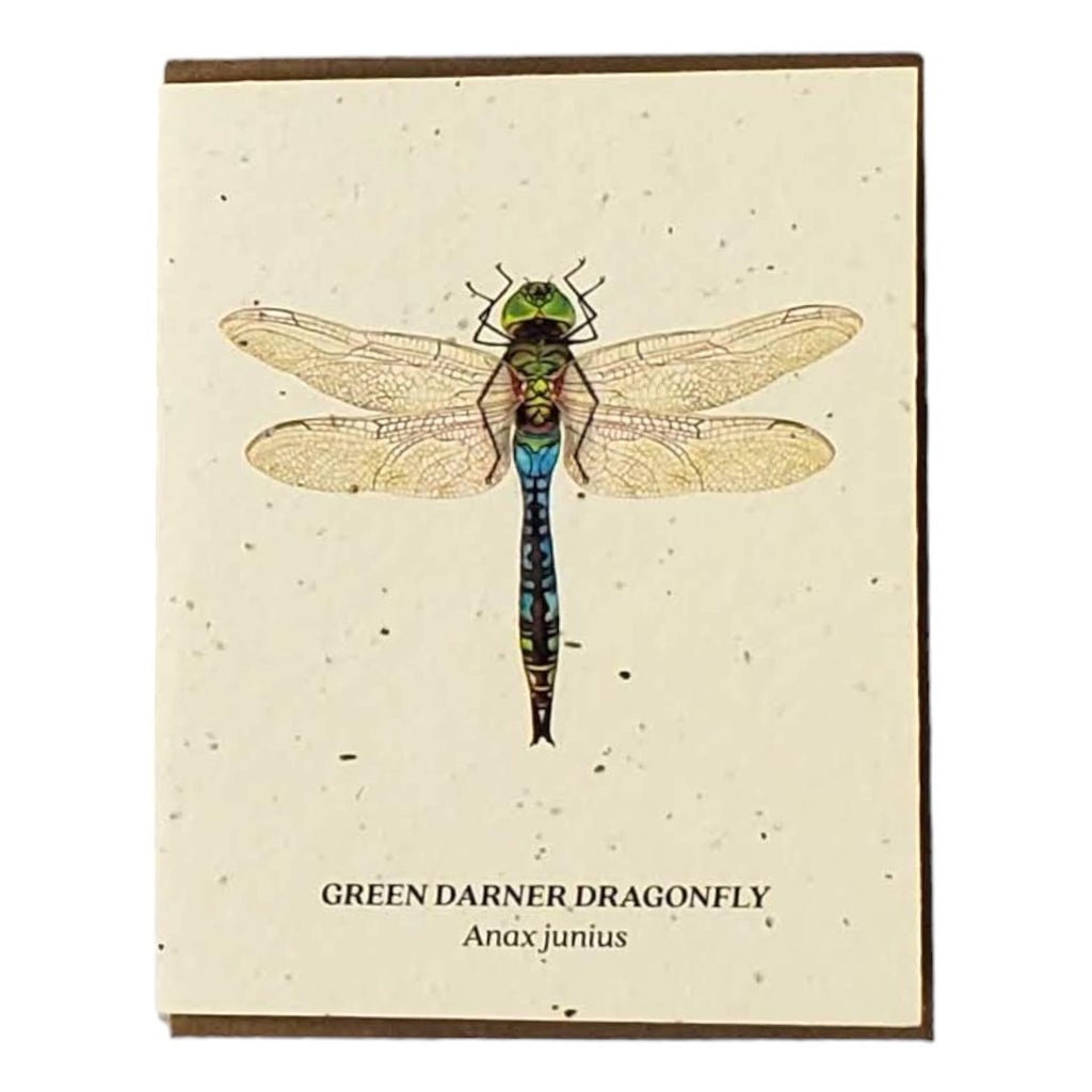 Small Victories Plantable Card - Green Darner Dragonfly
