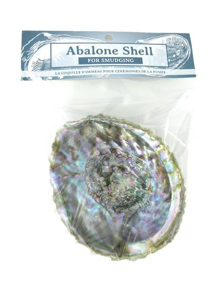 zenature's Abalone Shell