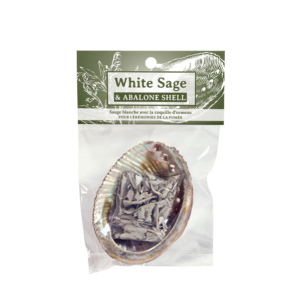 Abalone Shell & White Sage Mini