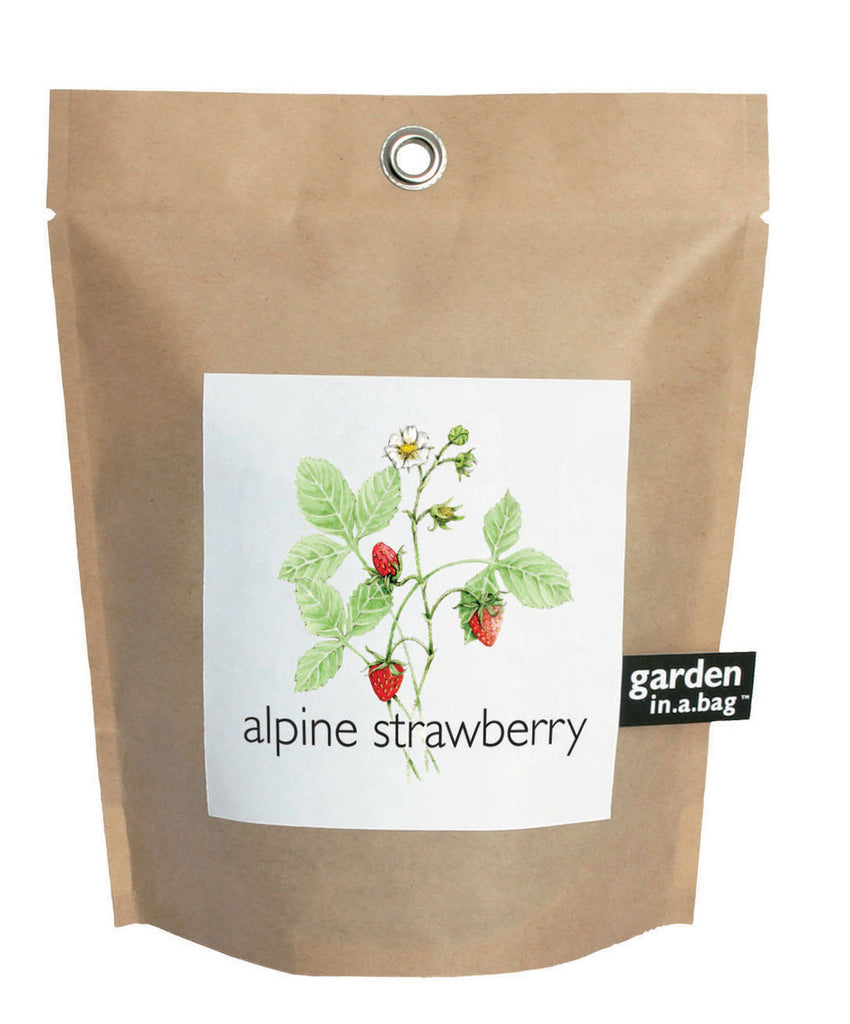 Potting Shed's Garden-in-a-Bag - Alpine Strawberry