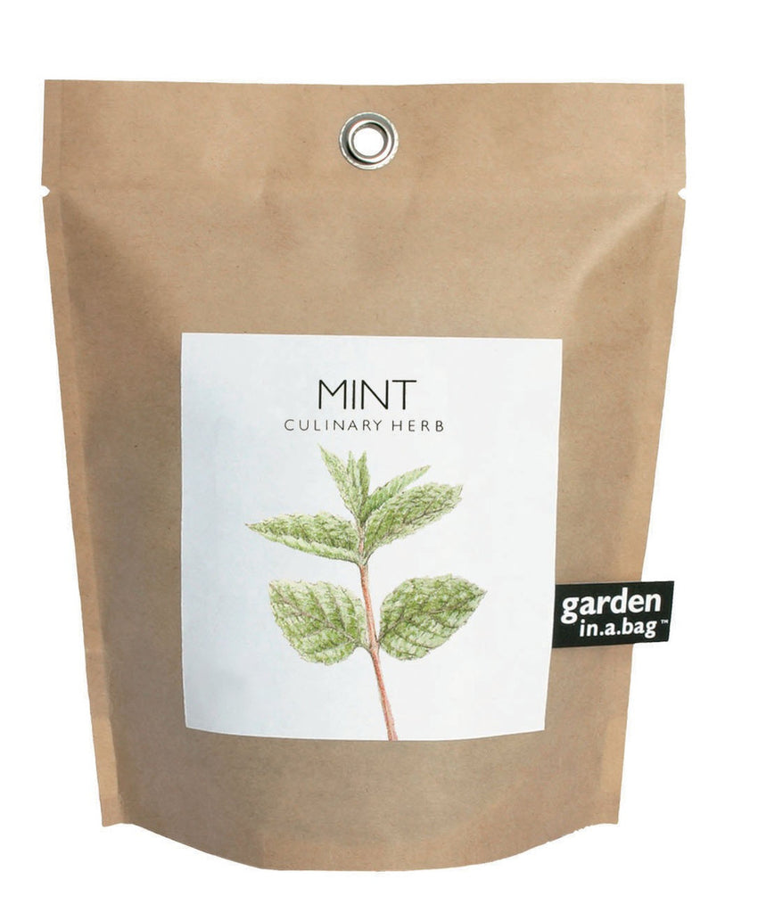 Potting Shed's Garden-in-a-Bag - Mint