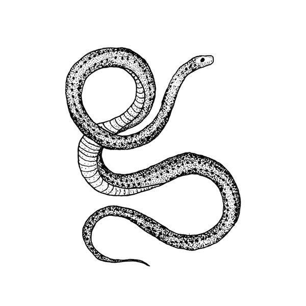 Tattly Temporary Tattoos - Serpent (set of 2)
