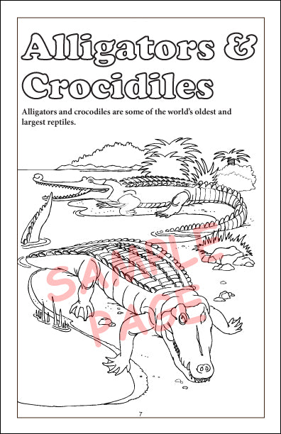 Coloring Book - Prehistoric Creatures
