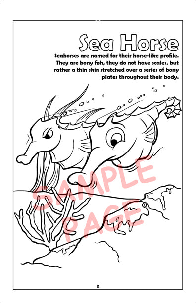 Coloring Book - Sea Creatures