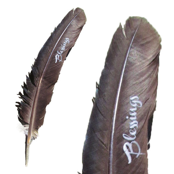Zenature's Smudging Feather - Blessings